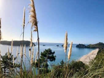 The view from our hike to Cathedral Cove in New Zealand